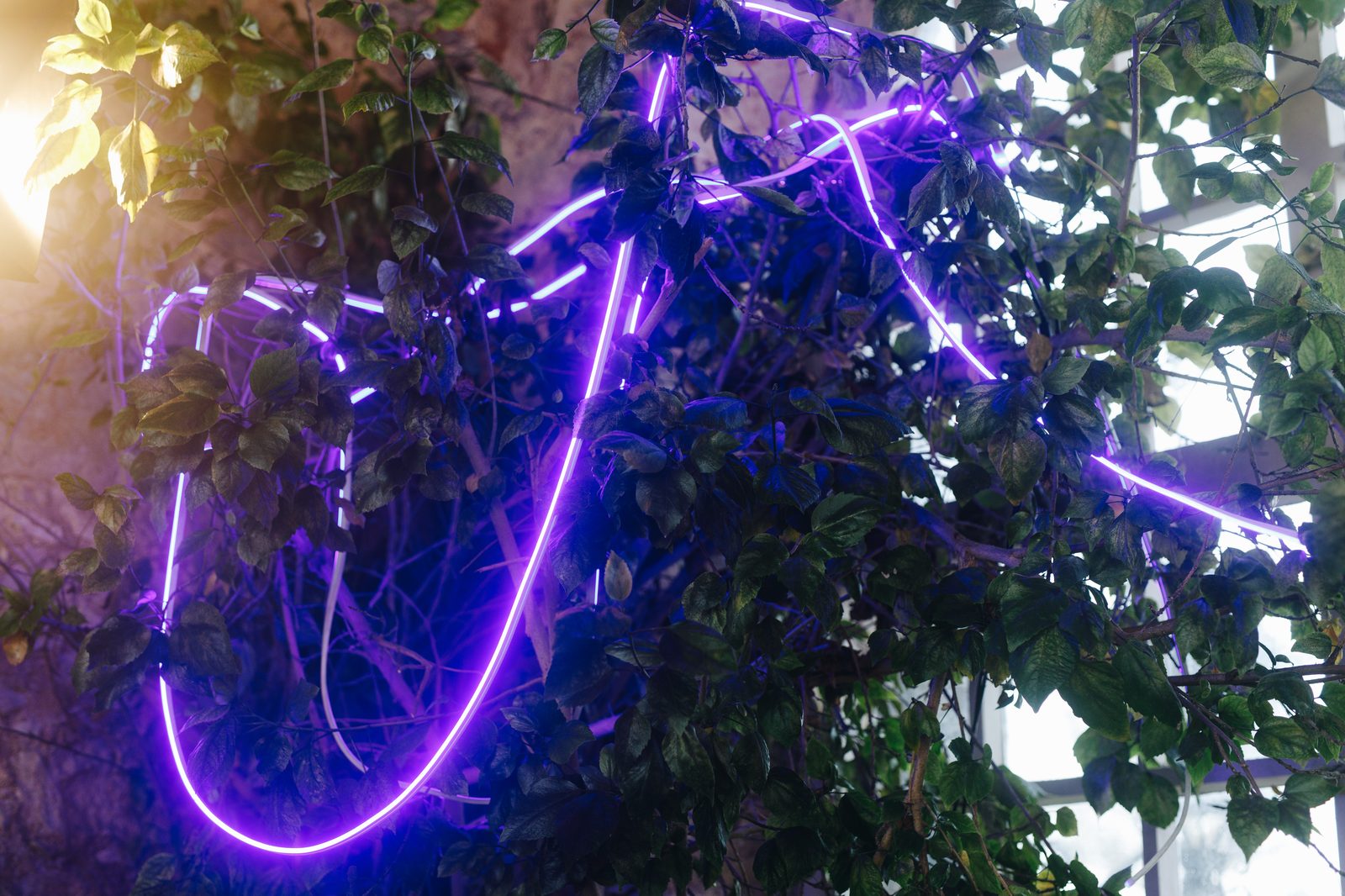 Networking reception area at corporate event in Lisbon