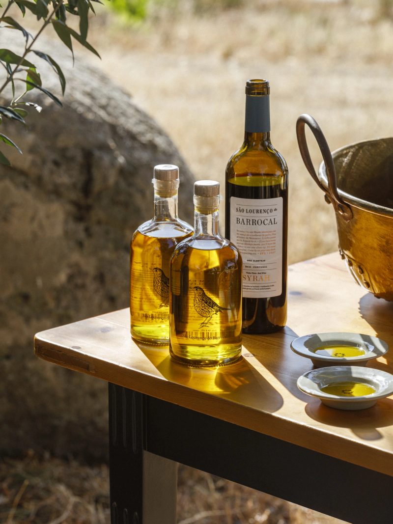 São Lourenço do Barrocal olive oil tasting from working production